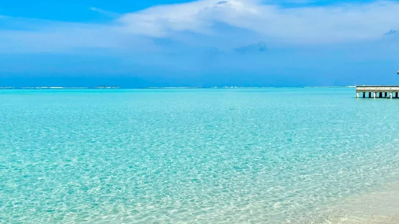Island_Lagoon_–_Shallow_clear-water_swimming_area__05