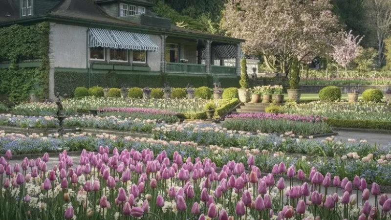 Italian Garden – Formal Layout(3)