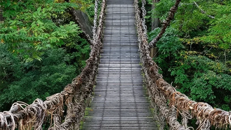 Iya Kazurabashi Bridge(3)