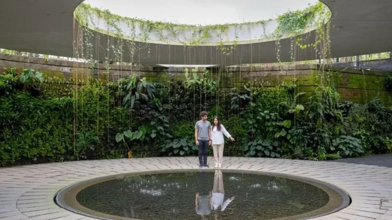 Japanese Garden Singapore(2)