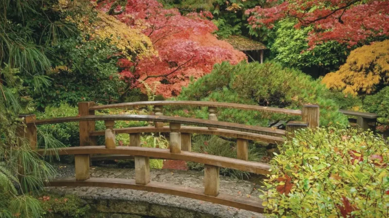 Japanese Garden – Tranquil Landscape(2)