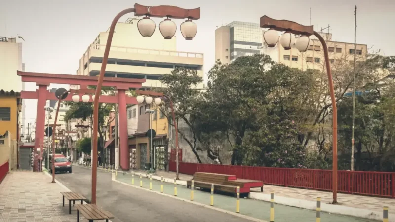 Japanese Torii Gate – Symbolic entrance(6)