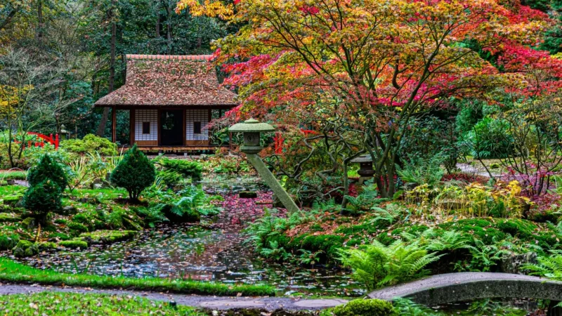 Japanese_Garden_in_Clingendael_Park_03
