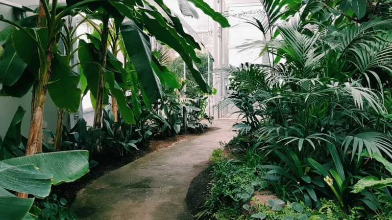 Jardin d’Agronomie Tropicale – Historic Tropical Garden(6)
