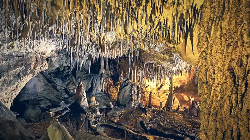 Jaskinia Raj (Paradise Cave)(1)