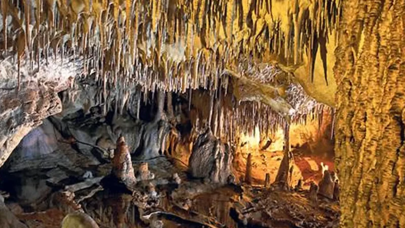 Jaskinia_Raj_(Paradise_Cave)_02