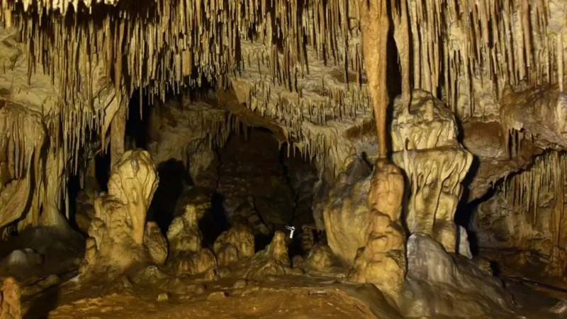 Jaskinia_Raj_(Paradise_Cave)_03