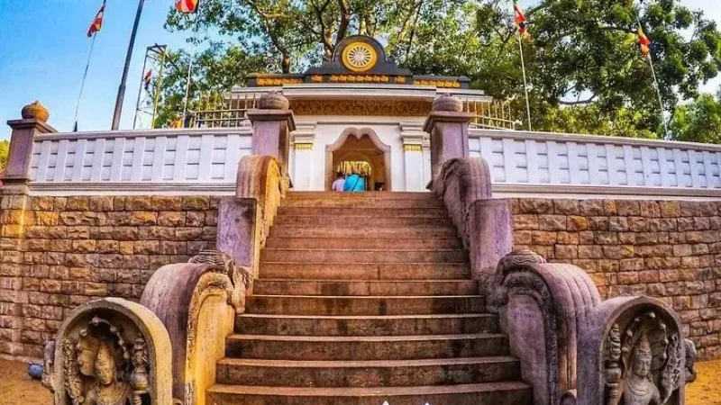 Jaya Sri Maha Bodhi6