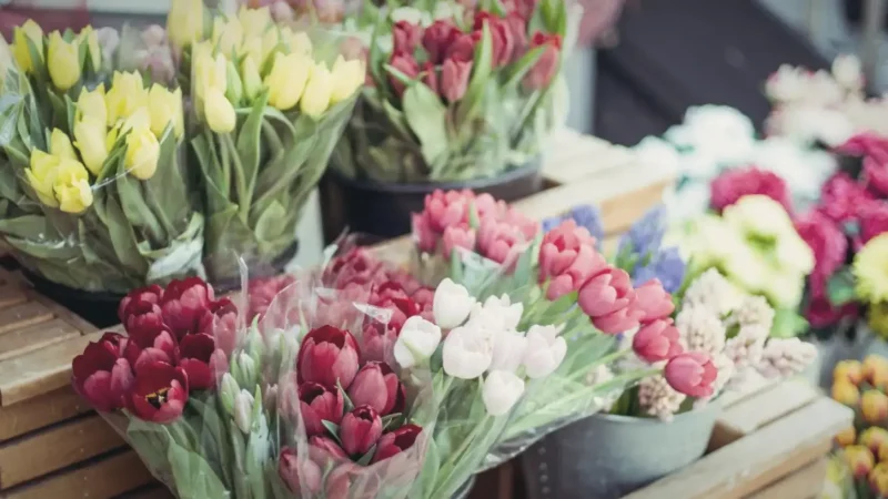 Jean-Talon Market – Food market(3)