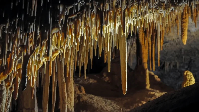 Jenolan Caves – Limestone Cave System(3)