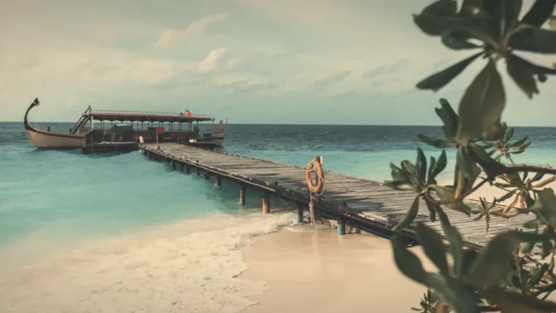 Jetty Viewpoint – A scenic area overlooking the lagoon(3)