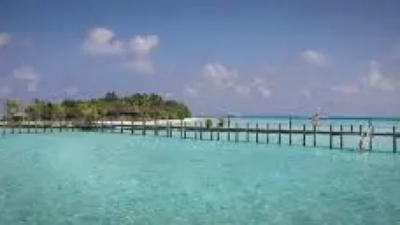 Jetty Viewpoint – Scenic ocean and boat views(5)
