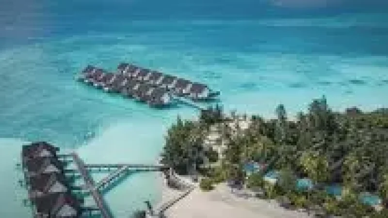 Jetty Viewpoint(1)