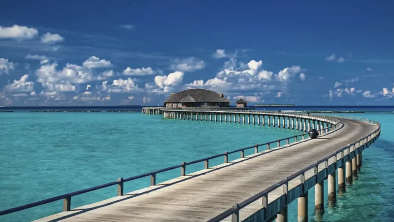 Jetty Viewpoint(3)