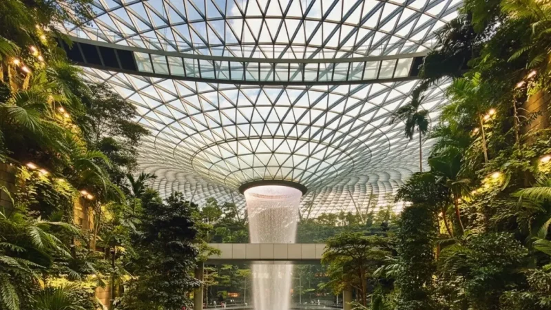 Jewel Changi Airport(1)