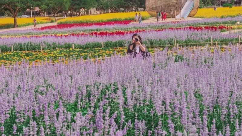 Jim Thompson Farm(1)