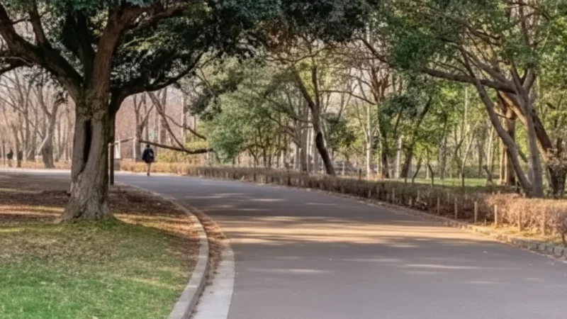 Jogging Paths(2)