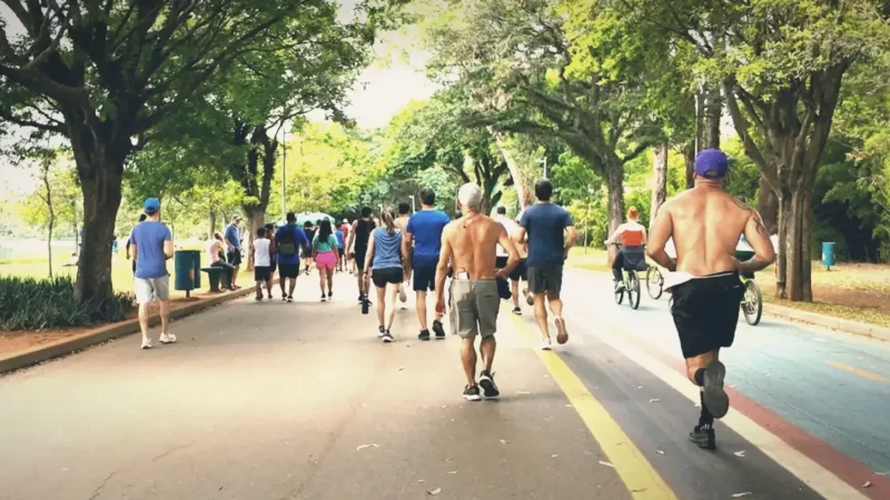 Jogging Trails(1)