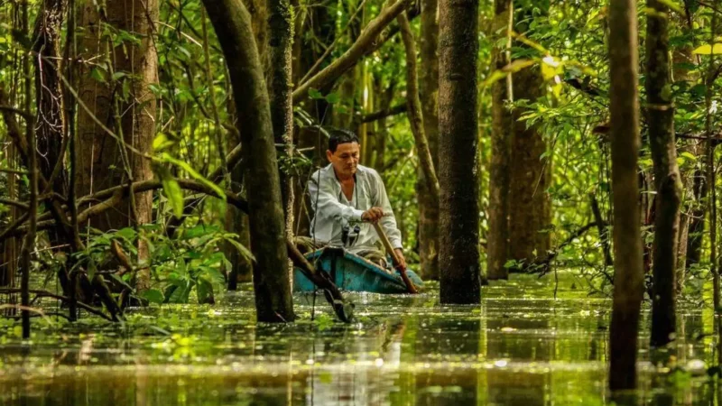 Jungle_Canoe_Routes_–_Quiet_water_exploration__04