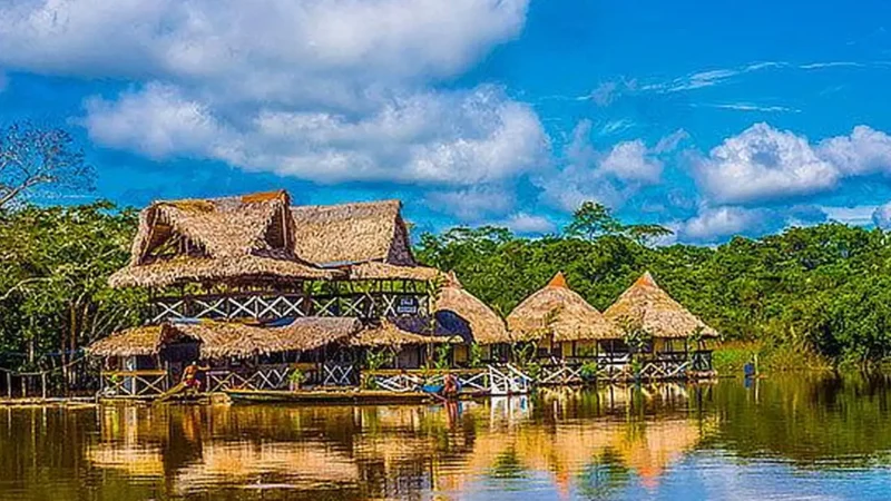 Jungle_Lodges_–_Guided_rainforest_stays__02