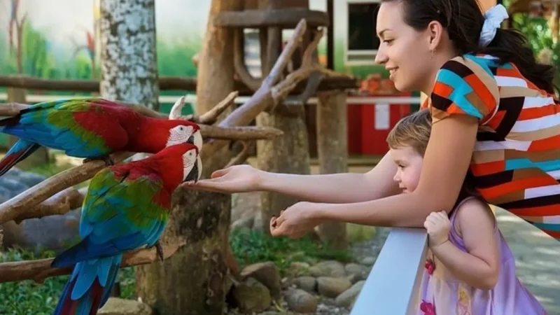 Jurong Bird Park Singapore(4)