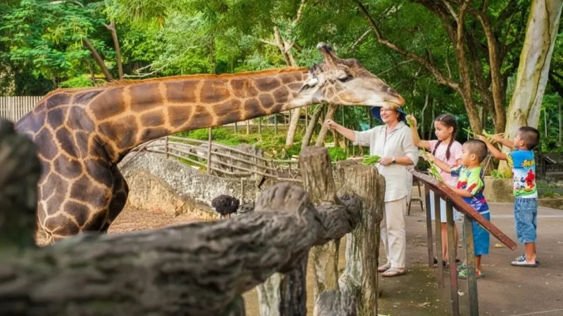 KHAO KHEOW OPEN ZOO(1)