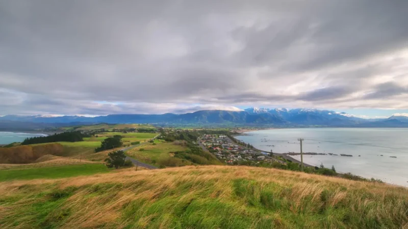 Kaik┼Нura_Lookout_тАУ_Elevated_coastal_views_06