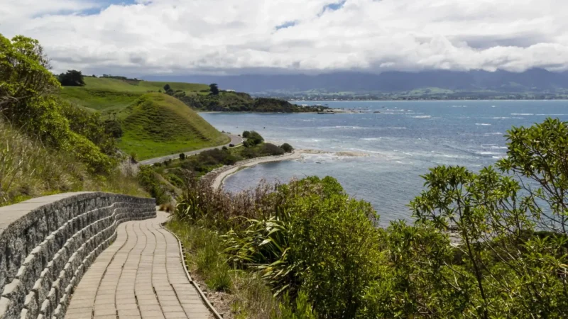 Kaik┼Нura_Peninsula_Walkway_тАУ_Coastal_cliffs_and_wildlife_05