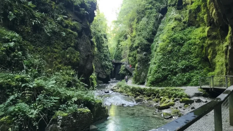 Kakuetta Gorge(4)