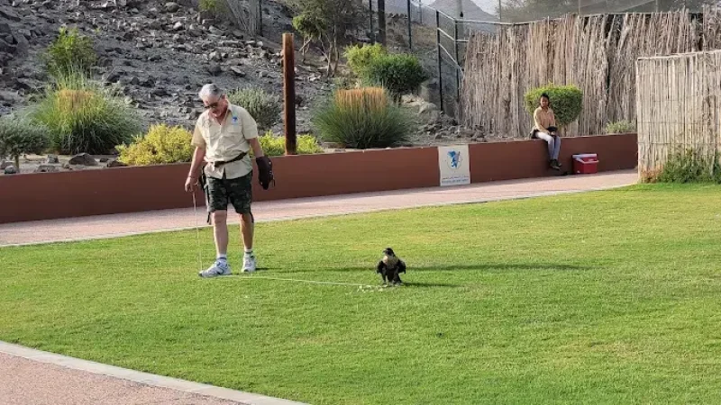Kalba Bird of Prey Centre3