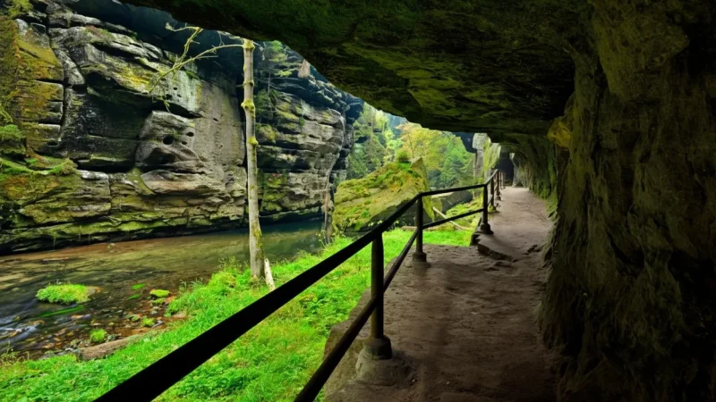 Kamenice River – River Valley Views(6)