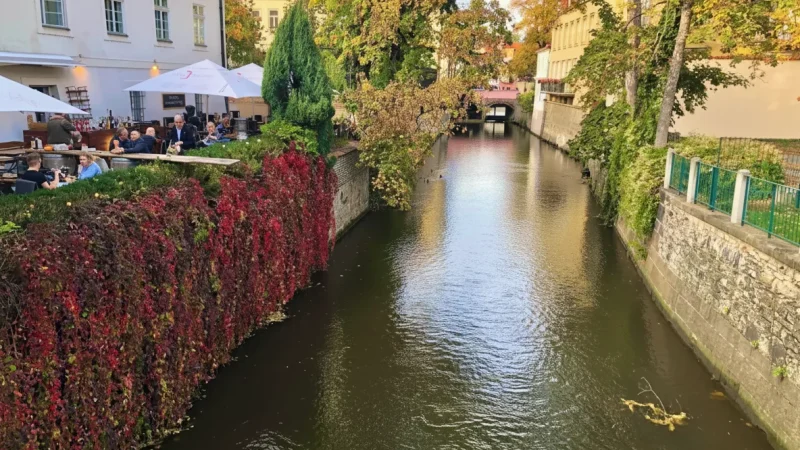 Kampa Island – Green island near the bridge(3)