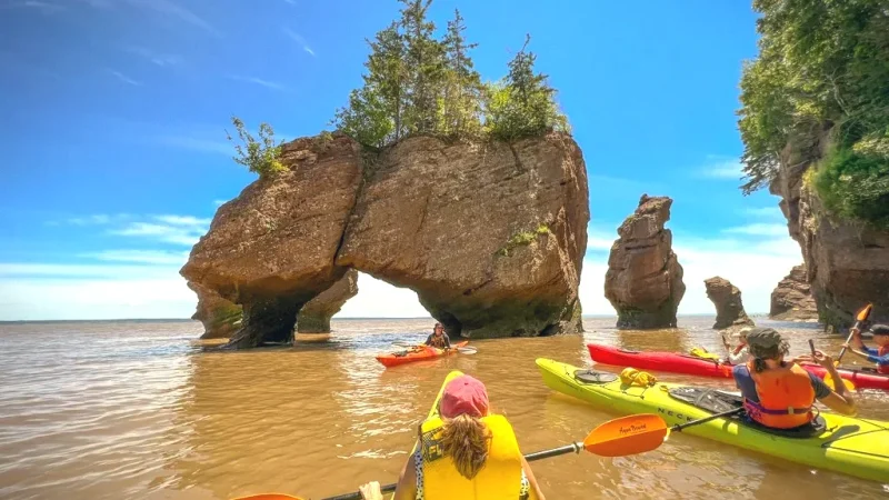 Kayaking Areas(4)