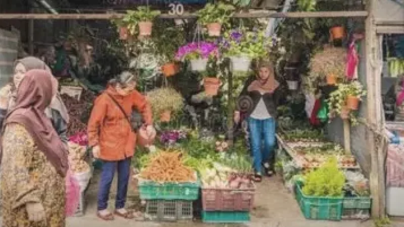 Kea Farm Market(2)
