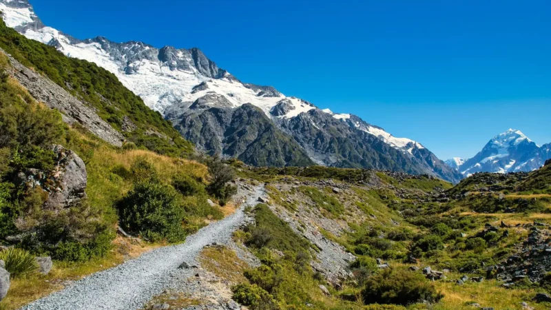 Kea_Point_Track_04