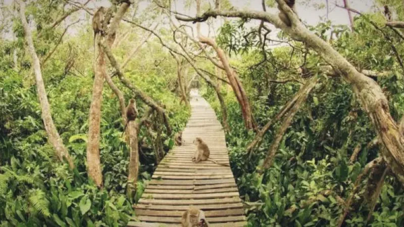 Kembang Island (Monkey Island)(1)