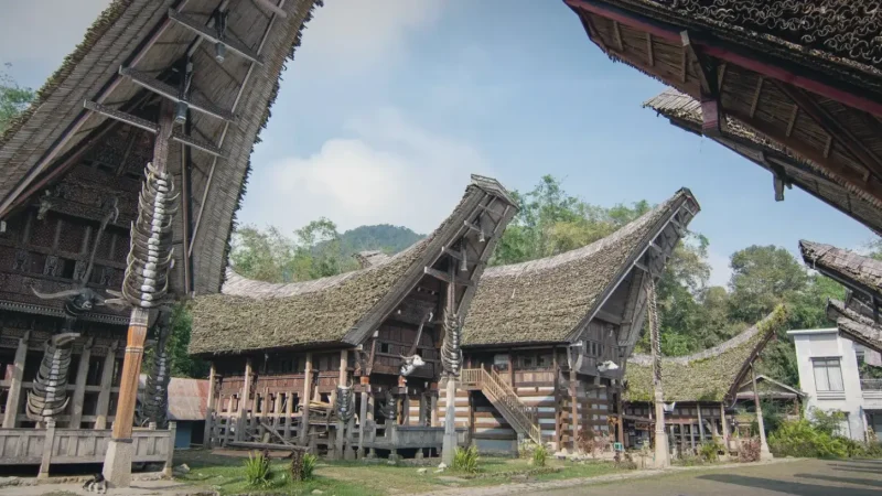 Ke’te Kesu(6)