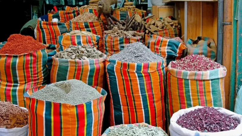 Khan El Khalili Bazaar – Traditional market area(5)