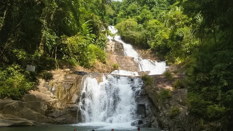 Khao Lak–Lam Ru National Park(1)