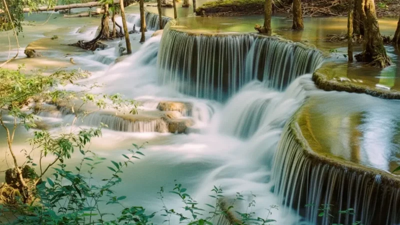 Khuean Srinagarindra National Park(1)