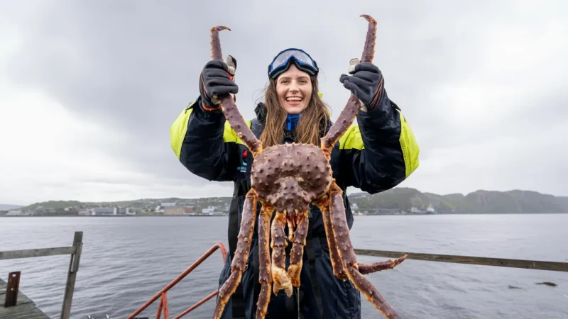 King Crab Safari Areas – Arctic seafood experience (Kirkenes)(6)