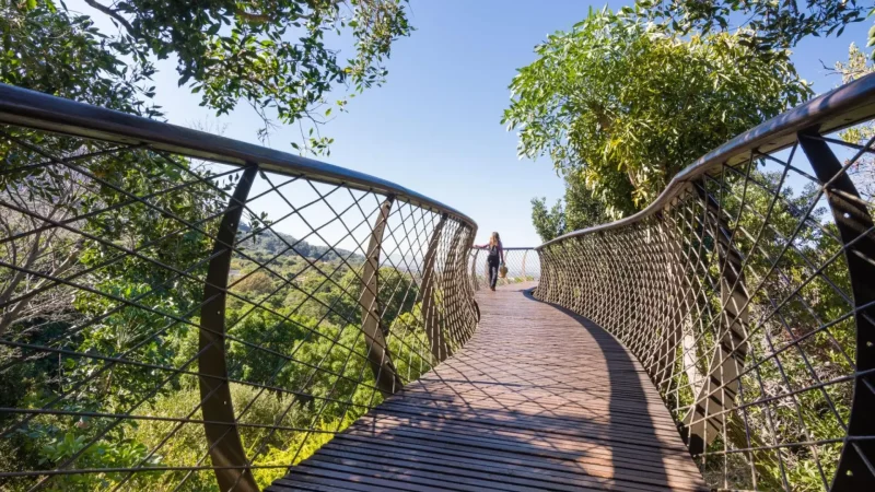Kirstenbosch_Botanical_Gardens_тАУ_World-renowned_botanical_garden_05
