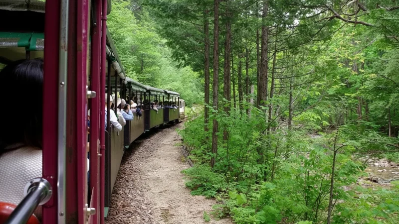 Kiso Valley Railway Viewpoints(1)