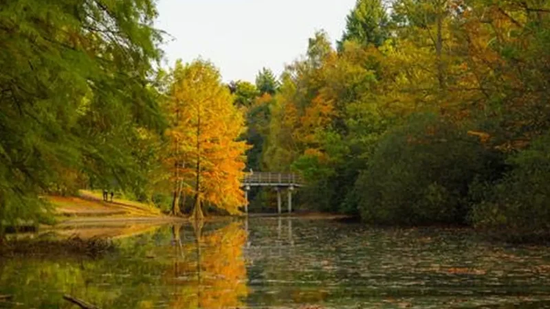 Klein_Wandelbos_05
