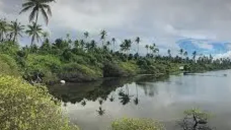 Koattey Protected Area(6)