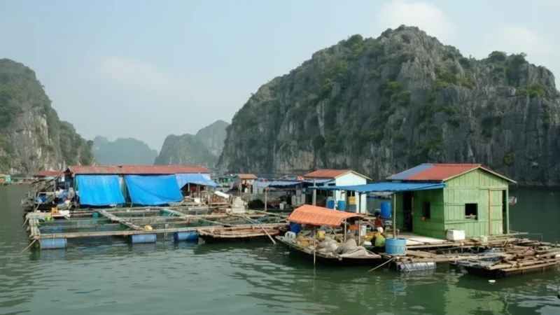 Kolkja Fishing Village(5)