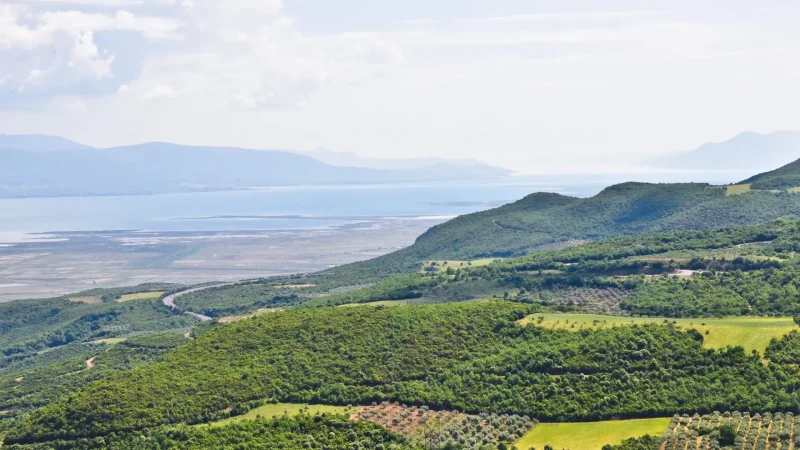Kolonos_Hill_04