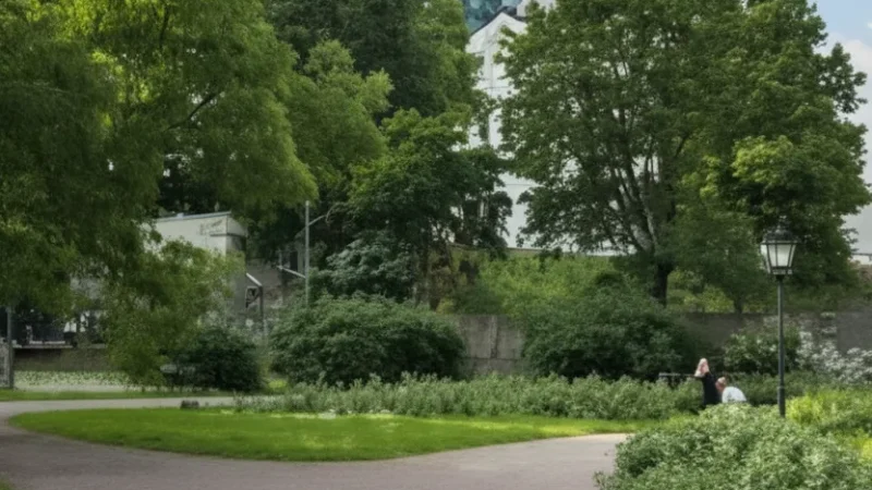 Komandandi Gard(1)