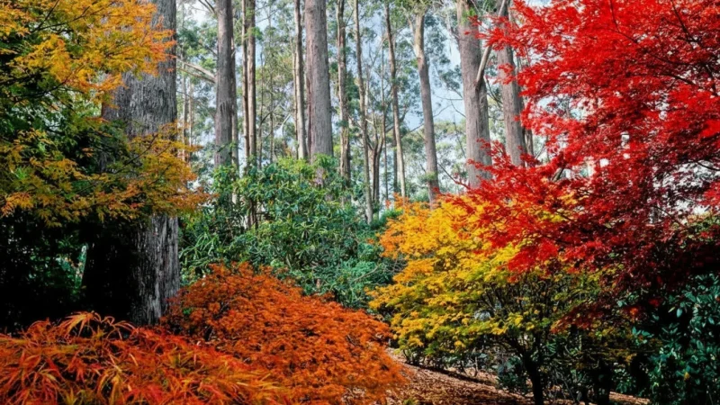 Komenského Gardens(3)