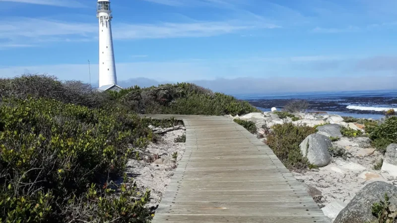 Kommetjie_Lighthouse_Area_тАУ_Coastal_walking_spots_02